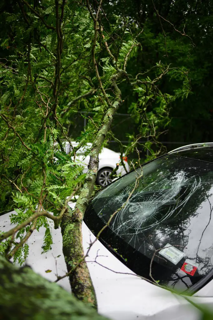 Does Homeowners Insurance Cover Tree Damage to Car?